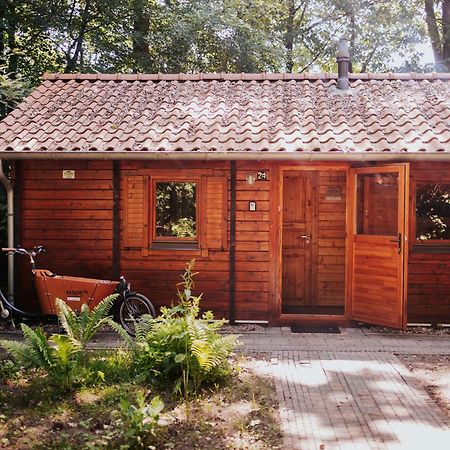 Sfeervolle Blokhut Met Fijne Buitenruimte @ Veluwe Epe Exterior photo
