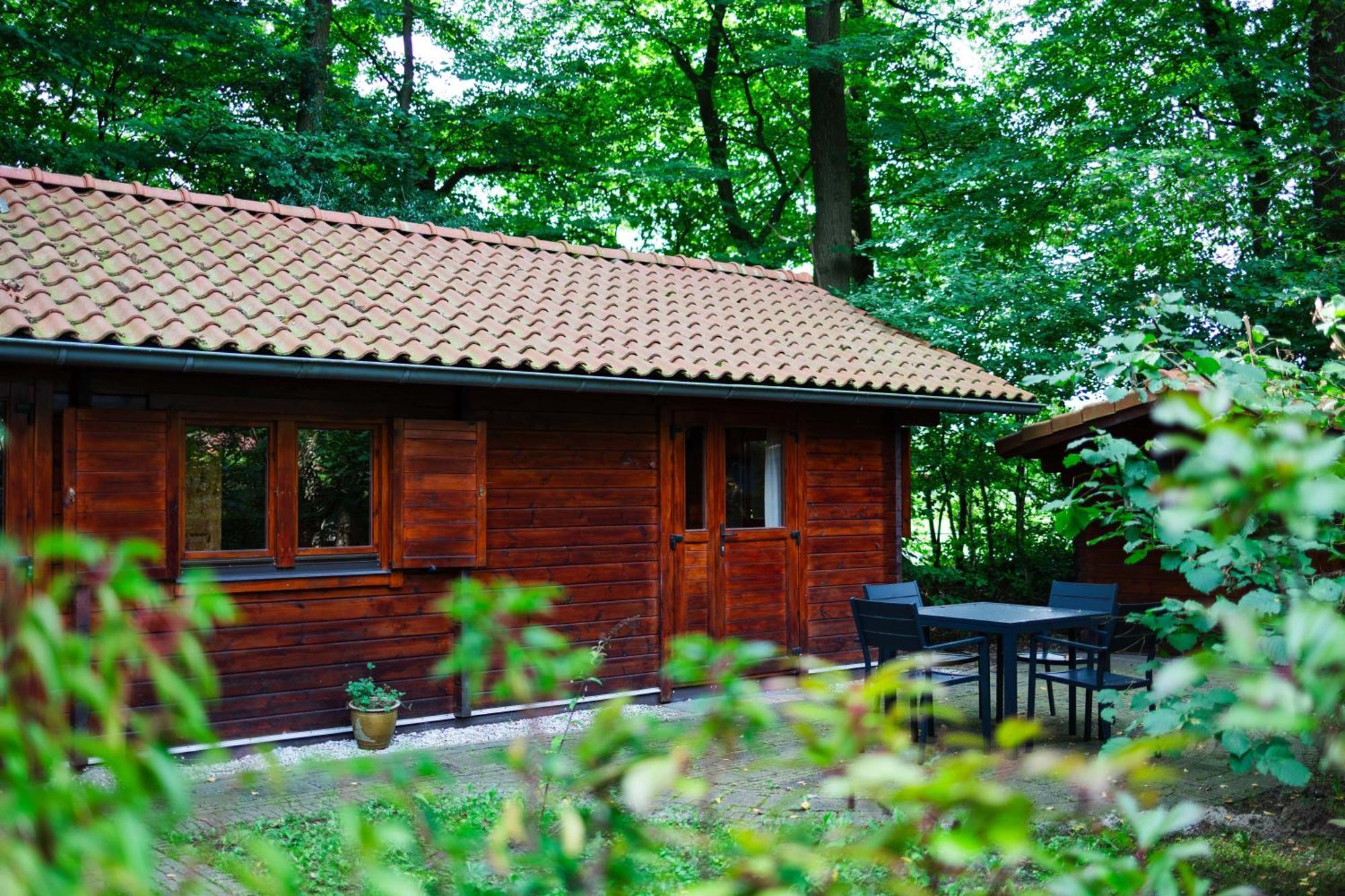 Sfeervolle Blokhut Met Fijne Buitenruimte @ Veluwe Epe Exterior photo